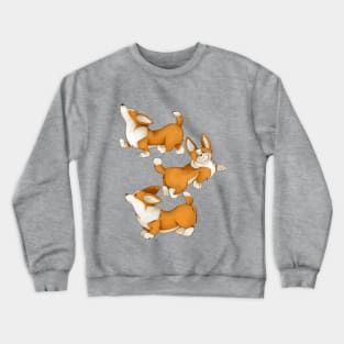 Cute dogs of the Corgi breed. Puppies for a walk. Crewneck Sweatshirt